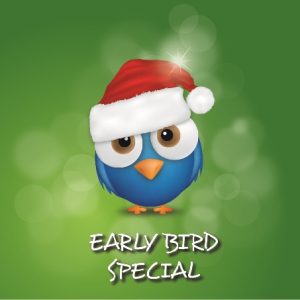 bird with christmas hat