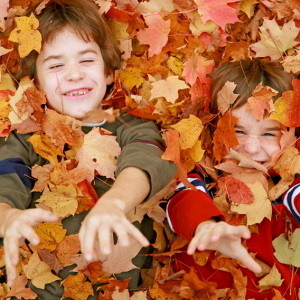 suite-october-hotel specials sea bay hotel ocean city md kids in fall leaves